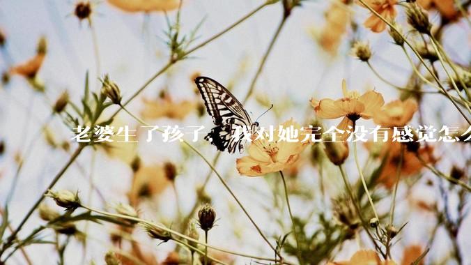 老婆生了孩子，我对她完全没有感觉怎么办？