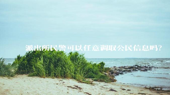 派出所民警可以任意调取公民信息吗？